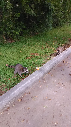 Discount Store «Dollar General», reviews and photos, 14354 Airline Hwy, Gonzales, LA 70737, USA