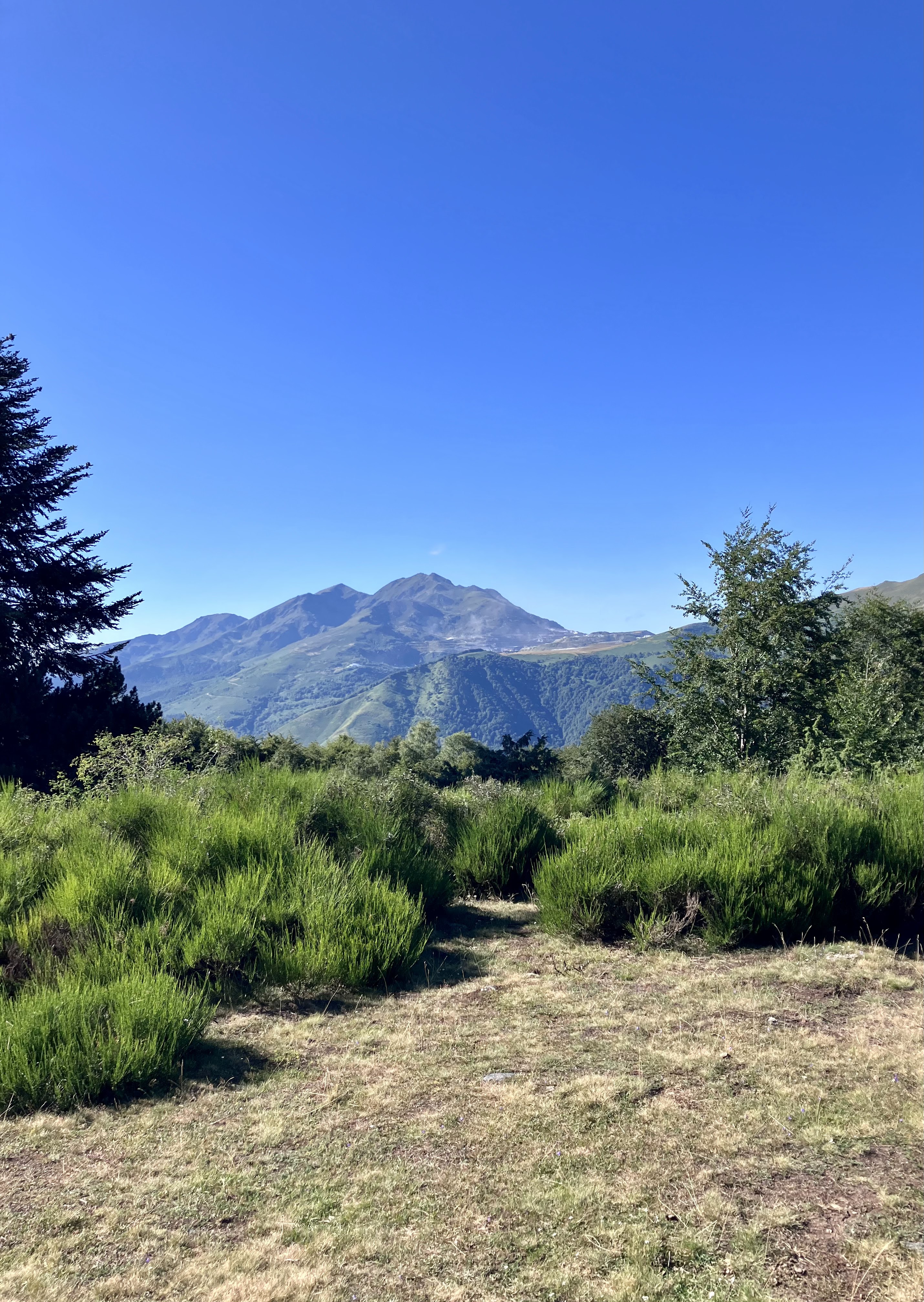 Photo n° 1 de l'avis de Martial. fait le 09/08/2023 à 17:39