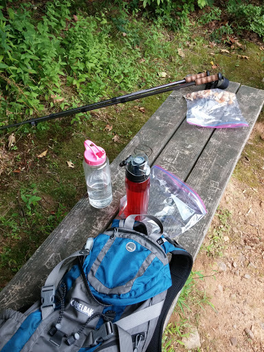 Nature Preserve «Boyd Big Tree Preserve Conservation Area», reviews and photos, Fishing Creek Valley Rd, Harrisburg, PA 17112, USA