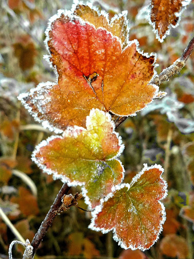 Nature Preserve «DeGraaf Nature Center», reviews and photos, 600 Graafschap Rd, Holland, MI 49423, USA