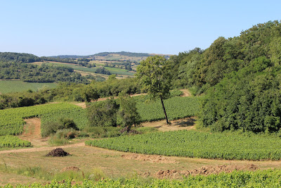 DOMAINE BERTHAULT à Moroges