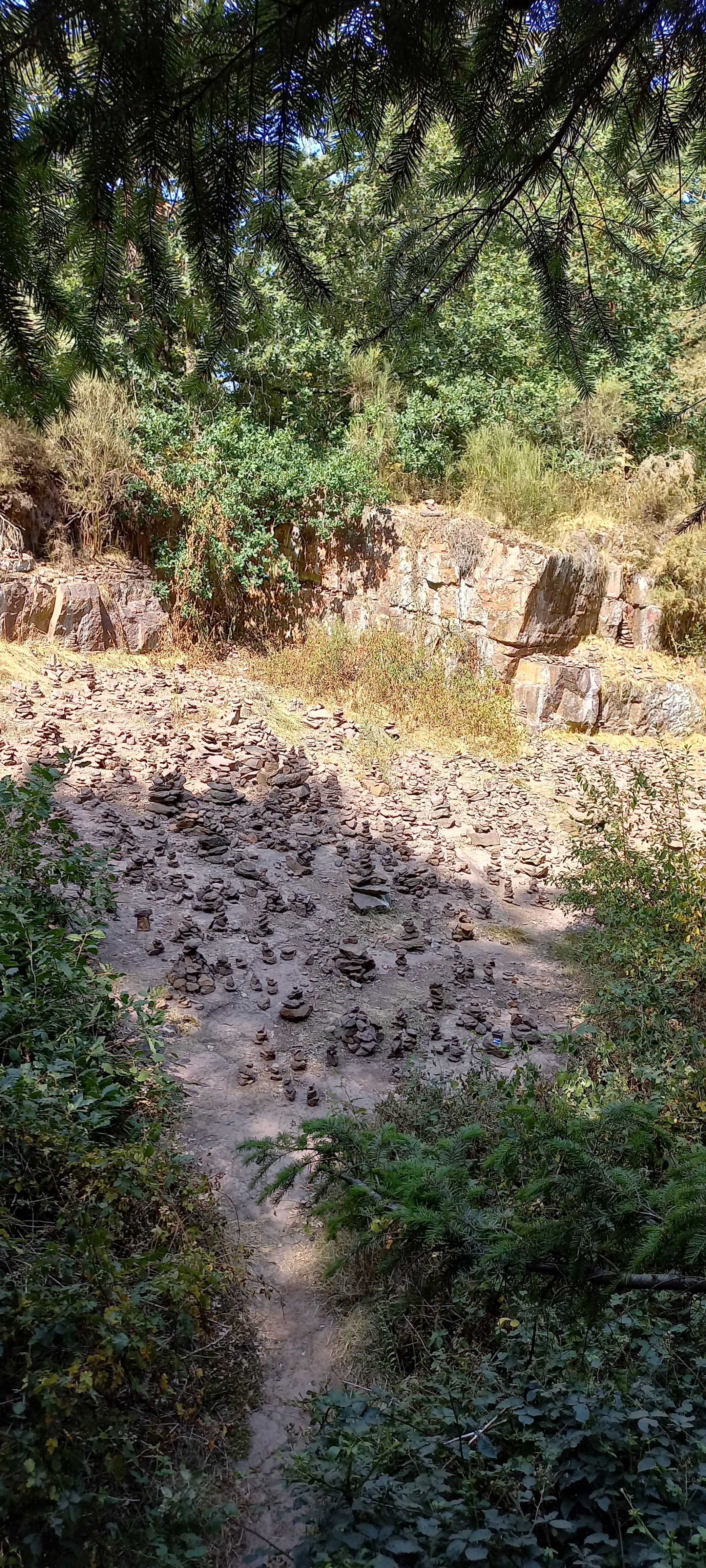 Photo n° 8 de l'avis de Françoise.o fait le 16/07/2022 à 21:19