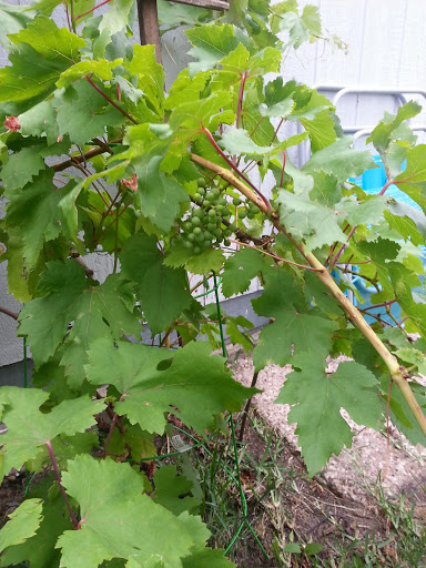 Park «Richfield Park», reviews and photos, 7250 Chapman Rd, North Richland Hills, TX 76182, USA