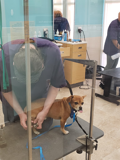 Shopping Mall «Tarpon Mall», reviews and photos, 40952 US-19, Tarpon Springs, FL 34689, USA