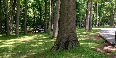 Rahway River Park