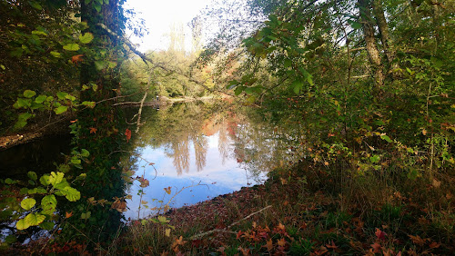 Parc forestier du Val de l'Eau Bourde à Gradignan