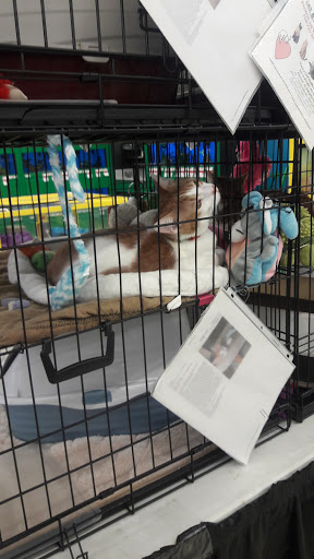 Pet Supply Store «Pet Supplies Plus», reviews and photos, 4923 Sheridan St, Hollywood, FL 33021, USA