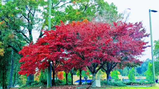 Shopping Mall «Haynes Market Shopping Center», reviews and photos, 3000 Old Alabama Rd, Johns Creek, GA 30022, USA