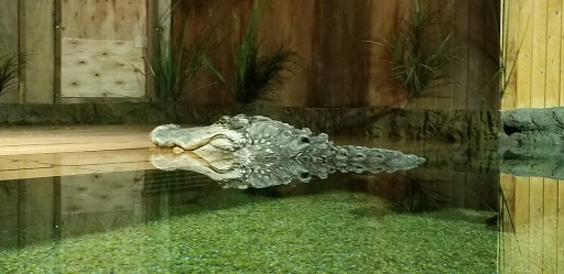 Amusement Center «OdySea in the Desert», reviews and photos, 9500 East Vía de Ventura, Scottsdale, AZ 85256, USA