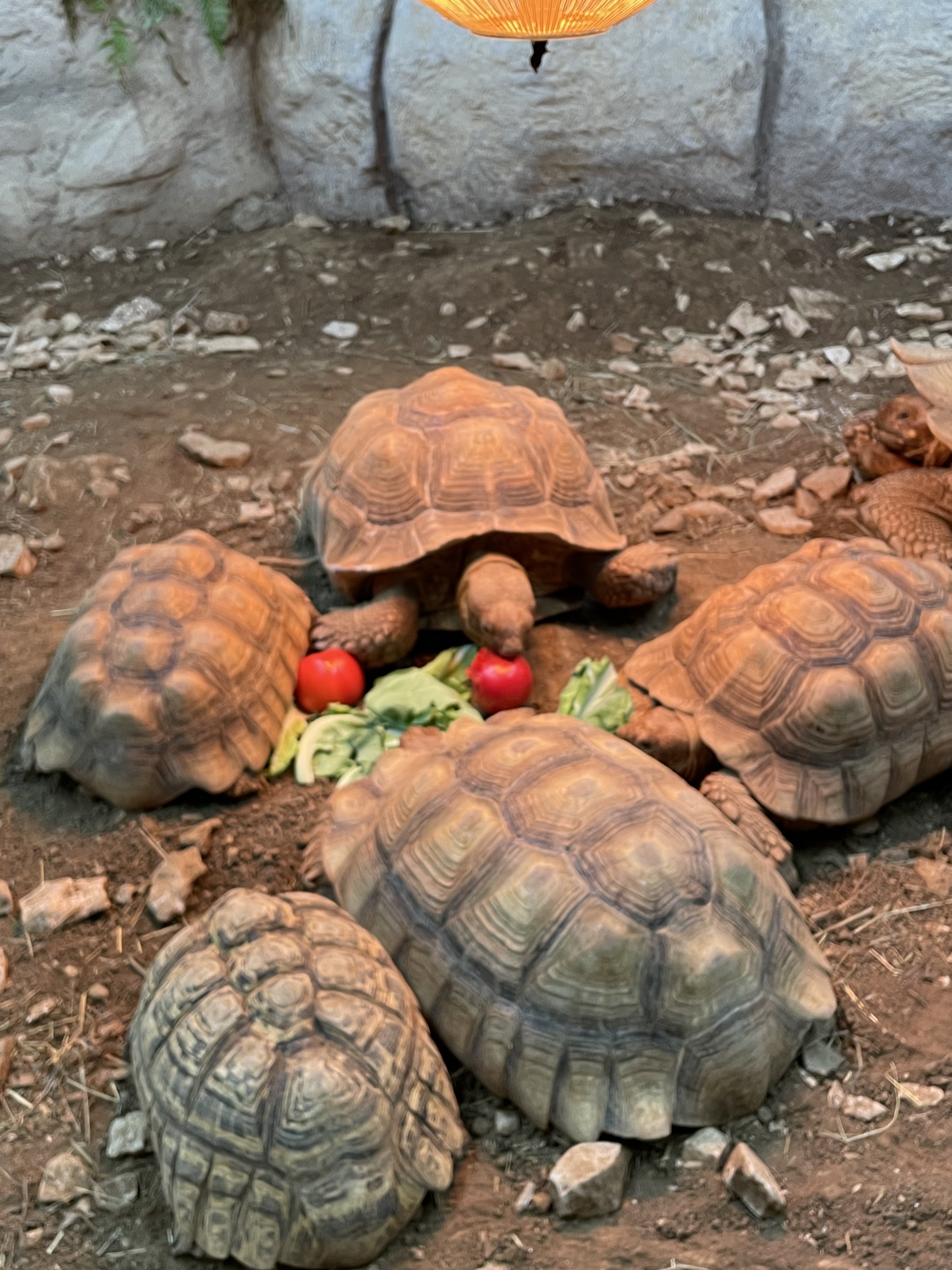 Photo n° 1 de l'avis de Alibert.� fait le 02/03/2024 à 12:25