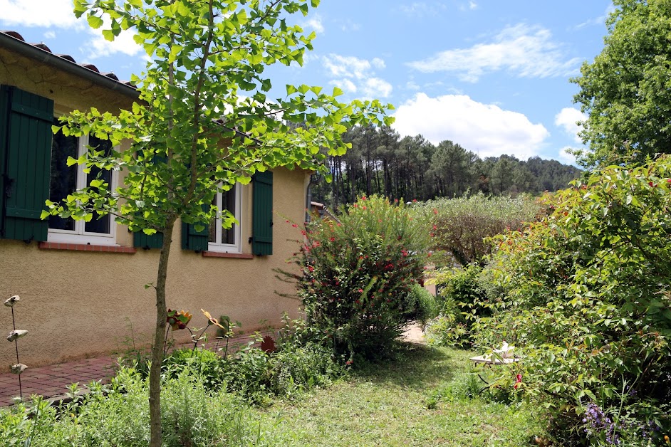 Location de vacances La Cabane Aux Oiseaux à Lodève