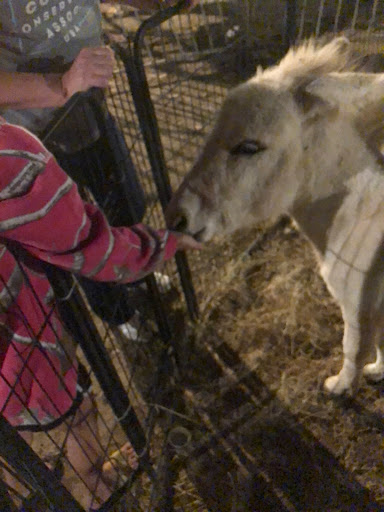 Tourist Attraction «Mitcham Farm», reviews and photos, 797 W Macedonia Church Rd, Oxford, GA 30054, USA