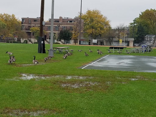 Park «Hinkley Park», reviews and photos, 25 Busse Hwy, Park Ridge, IL 60068, USA
