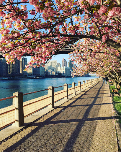 Park «Franklin D. Roosevelt Four Freedoms Park», reviews and photos