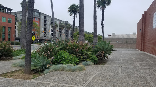 Department of Motor Vehicles «Santa Monica DMV», reviews and photos