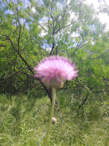National Park «Waco Mammoth National Monument», reviews and photos, 6220 Steinbeck Bend Dr, Waco, TX 76708, USA
