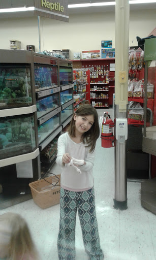 Pet Supply Store «Petco Animal Supplies», reviews and photos, 1207 S Caraway Rd, Jonesboro, AR 72401, USA