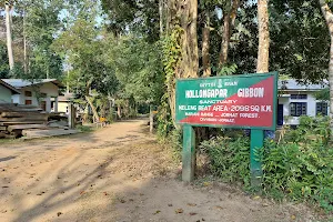 Hoollongapar Gibbon Sanctuary image