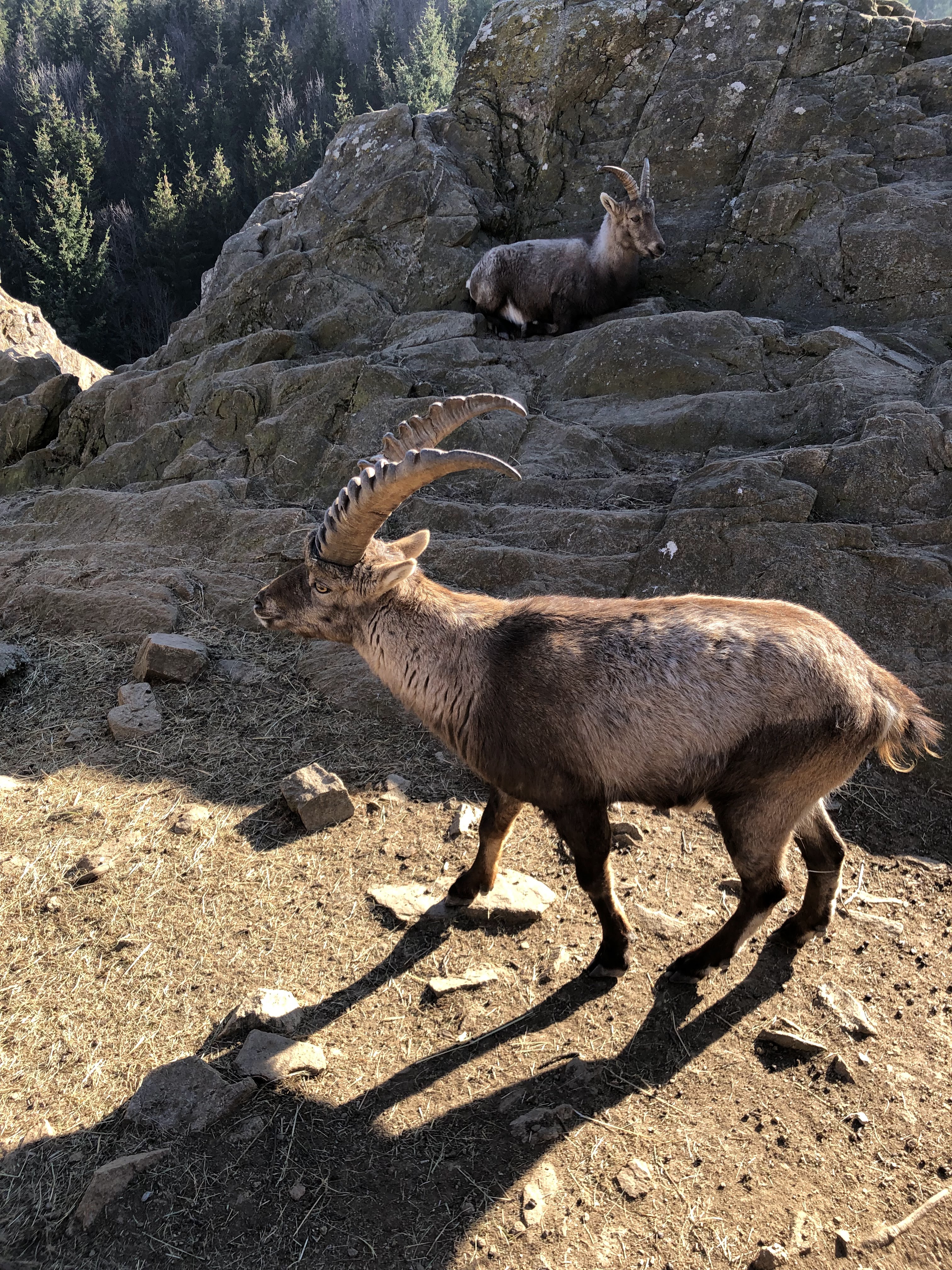 Photo n° 7 de l'avis de Romain. fait le 19/01/2020 à 12:09