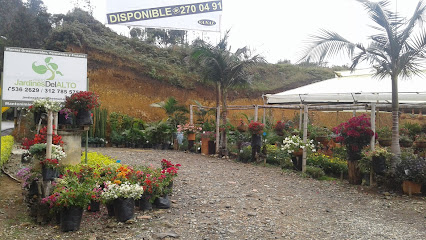 Jardines Del Alto