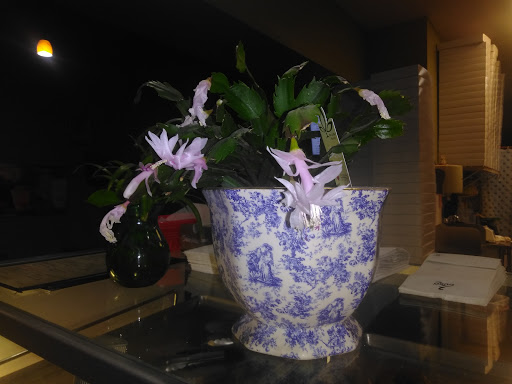 Donut Shop «Express Donuts», reviews and photos, 13824 W McDowell Rd, Goodyear, AZ 85395, USA