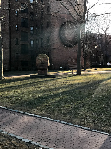 Private University «Pratt Institute», reviews and photos