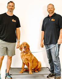 Red Rover - Photo 3 - Car repair in Bossier City, LA, Shreveport