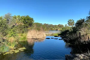 Sydney Park Wetlands image