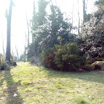 Photo n°6 de l'avis de Nicole. fait le 17/02/2020 à 12:07 sur le  Piscine Deep-Joy Y-40 à Montegrotto Terme