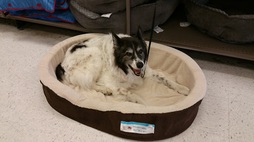 Pet Supply Store «Petco Animal Supplies», reviews and photos, 4632 Broadway, Allentown, PA 18104, USA
