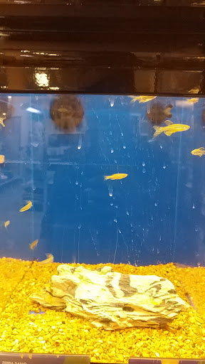 Pet Supply Store «PetSmart», reviews and photos, 482 Stillwater Ave Ste 2A, Bangor, ME 04401, USA