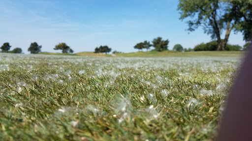 Golf Course «RiverWinds Golf & Tennis Club», reviews and photos, 270 Eagle Point Rd, West Deptford, NJ 08086, USA