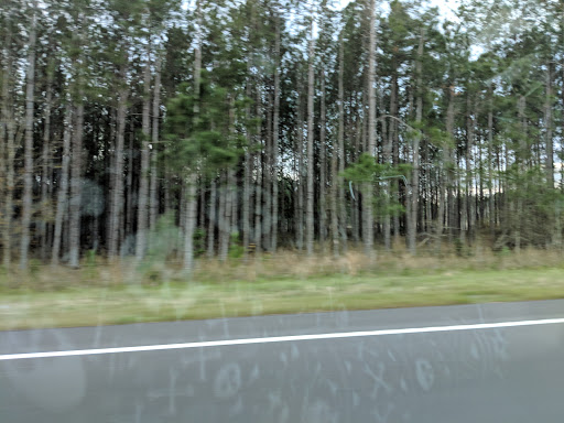 Nature Preserve «Conner Preserve», reviews and photos, 22500 FL-52, Land O Lakes, FL 34637, USA