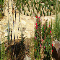 Southern Services Landscape & Irrigation - Photo 5 - Car repair in , Denton