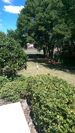 Hotel «Comfort Suites At Fairgrounds-Casino», reviews and photos, 4506 Oak Fair Blvd, Tampa, FL 33610, USA