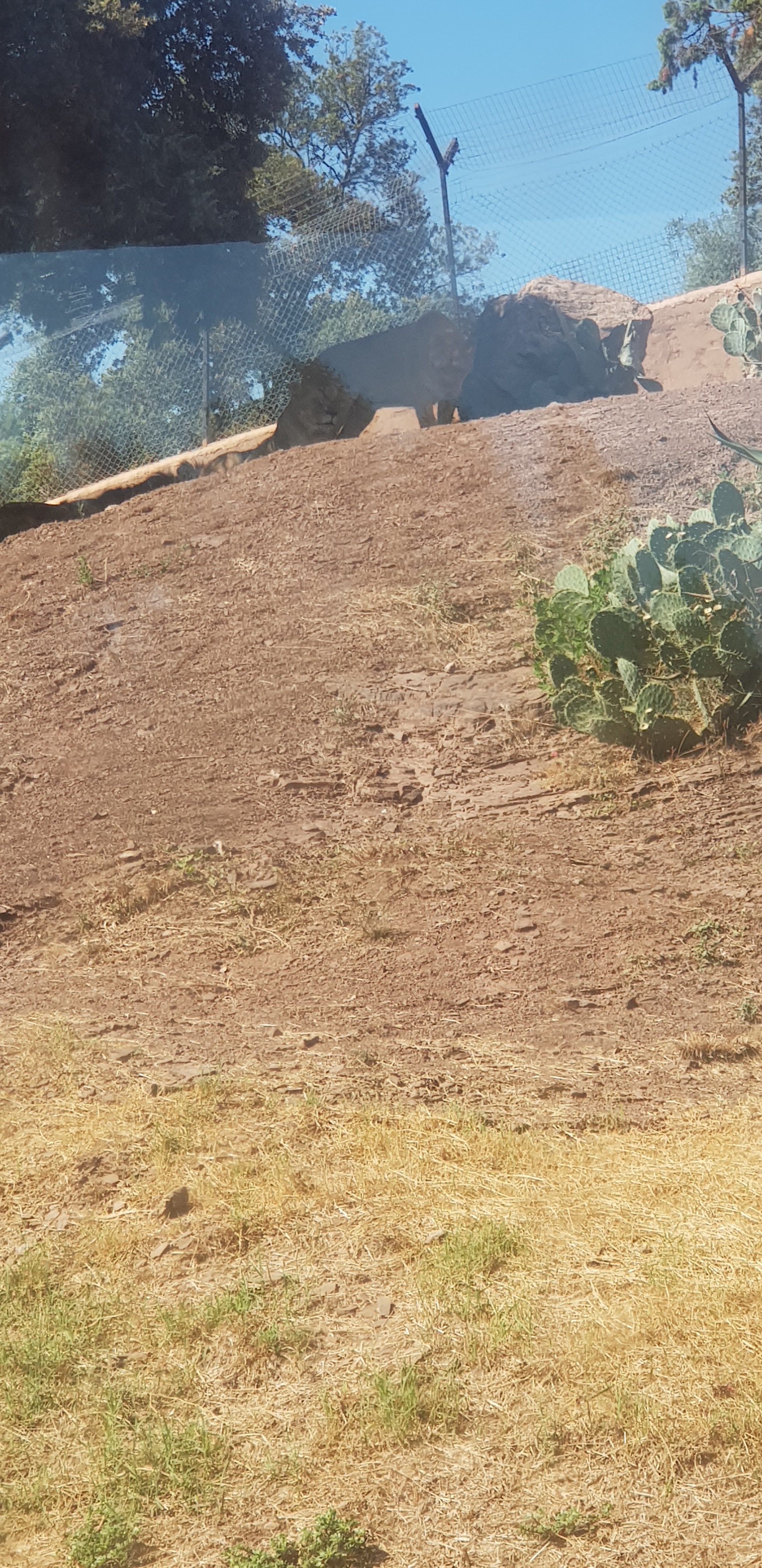Photo n° 50 de l'avis de stephanie.a fait le 05/08/2018 à 15:29