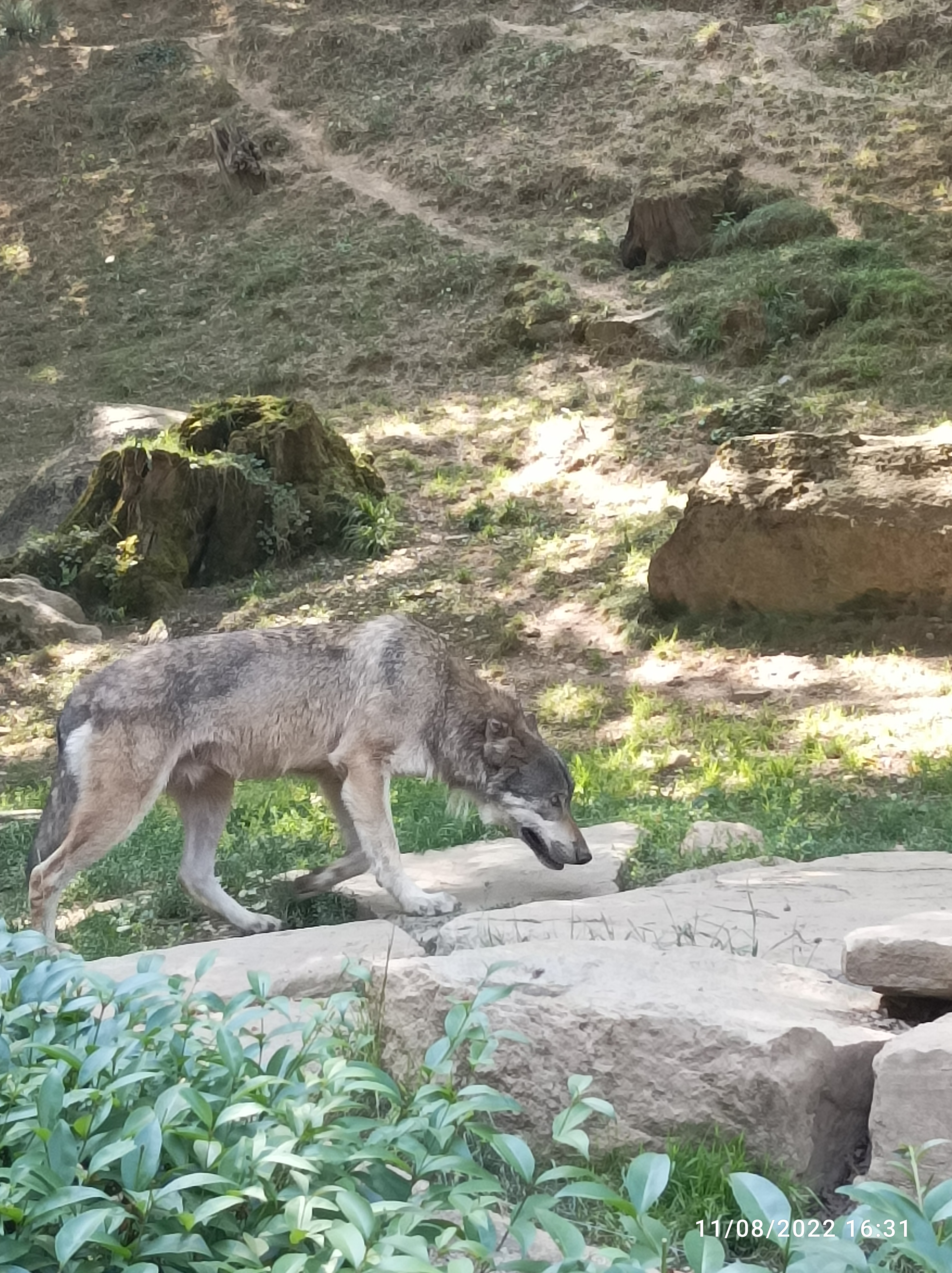 Photo n° 1 de l'avis de aurelie.� fait le 31/08/2019 à 22:43