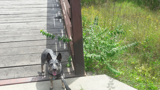 Nature Preserve «Raceway Woods Forest Preserve», reviews and photos, State Rte 31, Carpentersville, IL 60110, USA