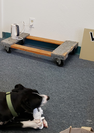 Pet Supply Store «Petco Animal Supplies», reviews and photos, 3454 Palmer Dr #7a, Cameron Park, CA 95682, USA