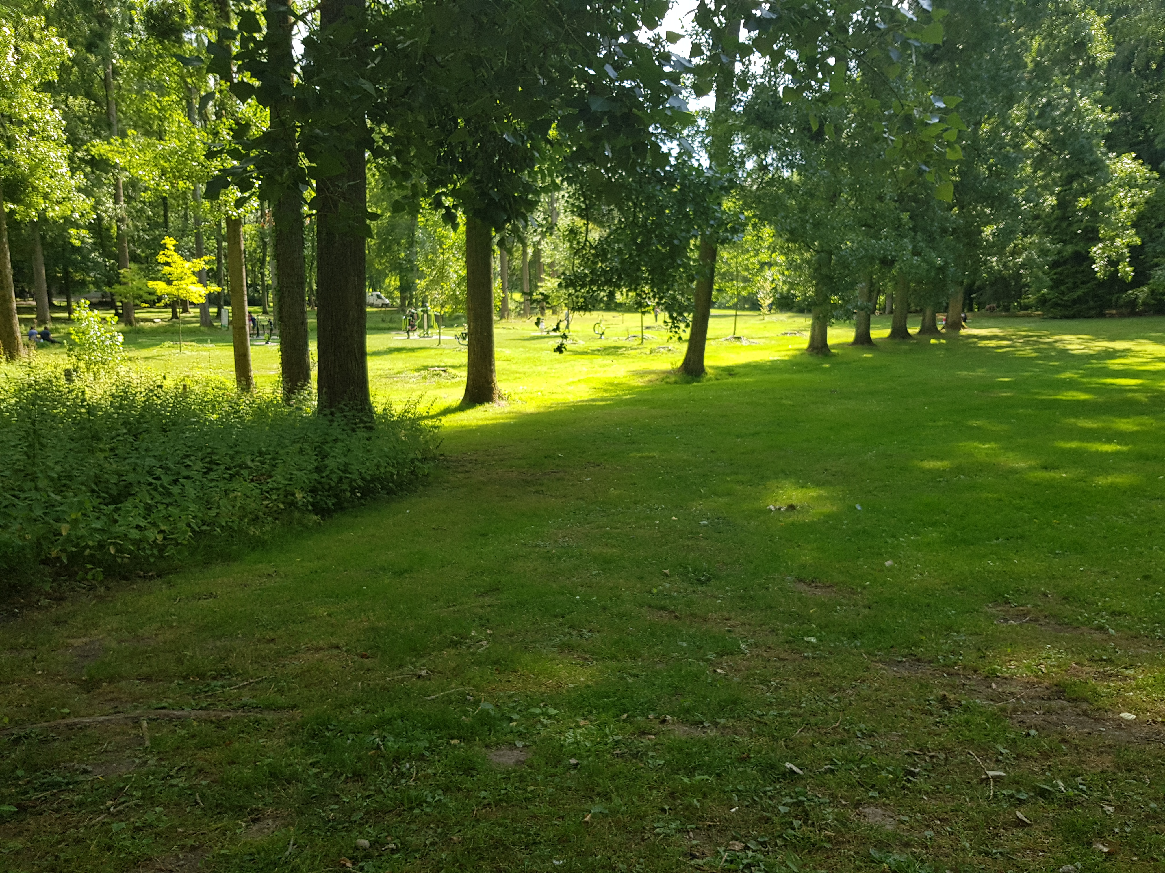 Photo n° 1 de l'avis de Laetitia.e fait le 20/06/2020 à 20:37