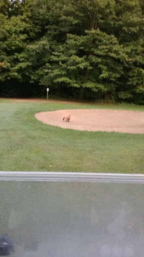 Golf Course «Pipestone Creek Golf Course», reviews and photos, 6768 Naomi Rd, Eau Claire, MI 49111, USA