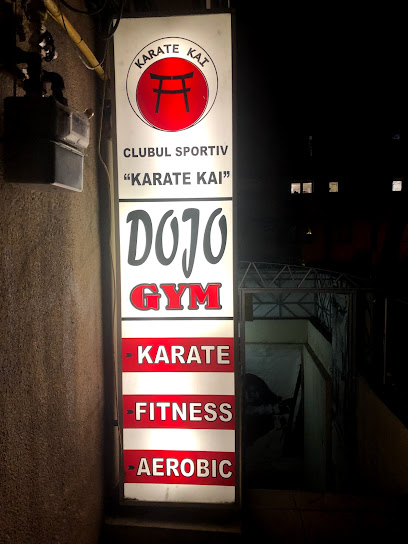 Dojo Gym - Aleea Vasile Alecsandri, Iași 700259, Romania