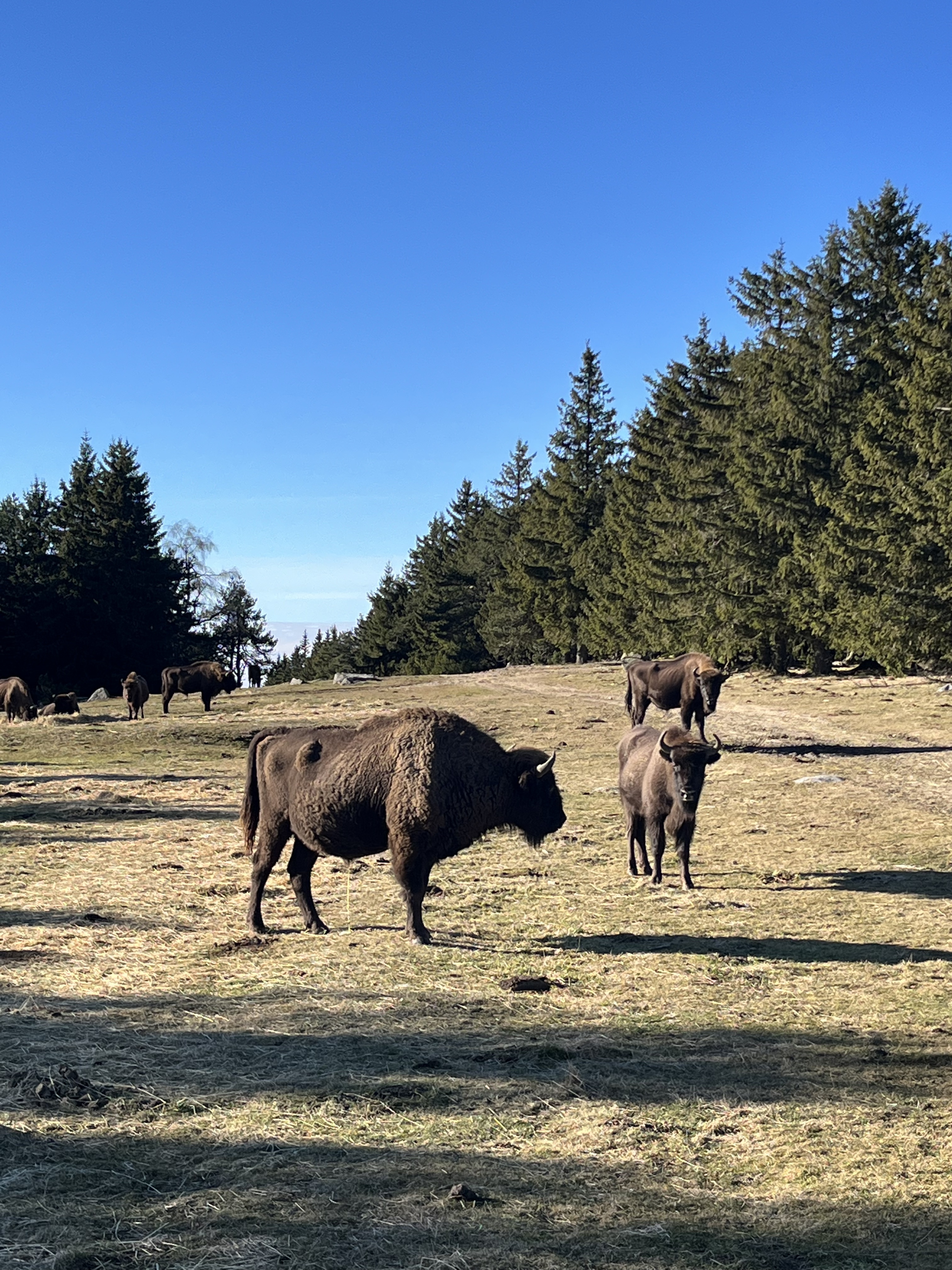 Photo n° 5 de l'avis de kerl.o fait le 06/01/2023 à 20:29