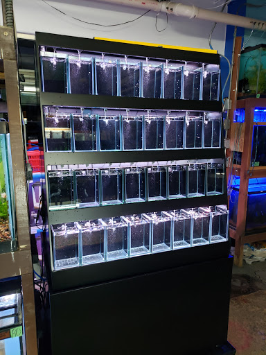 Pet Store «Forest Lake Pets», reviews and photos, 120 Lake St N, Forest Lake, MN 55025, USA