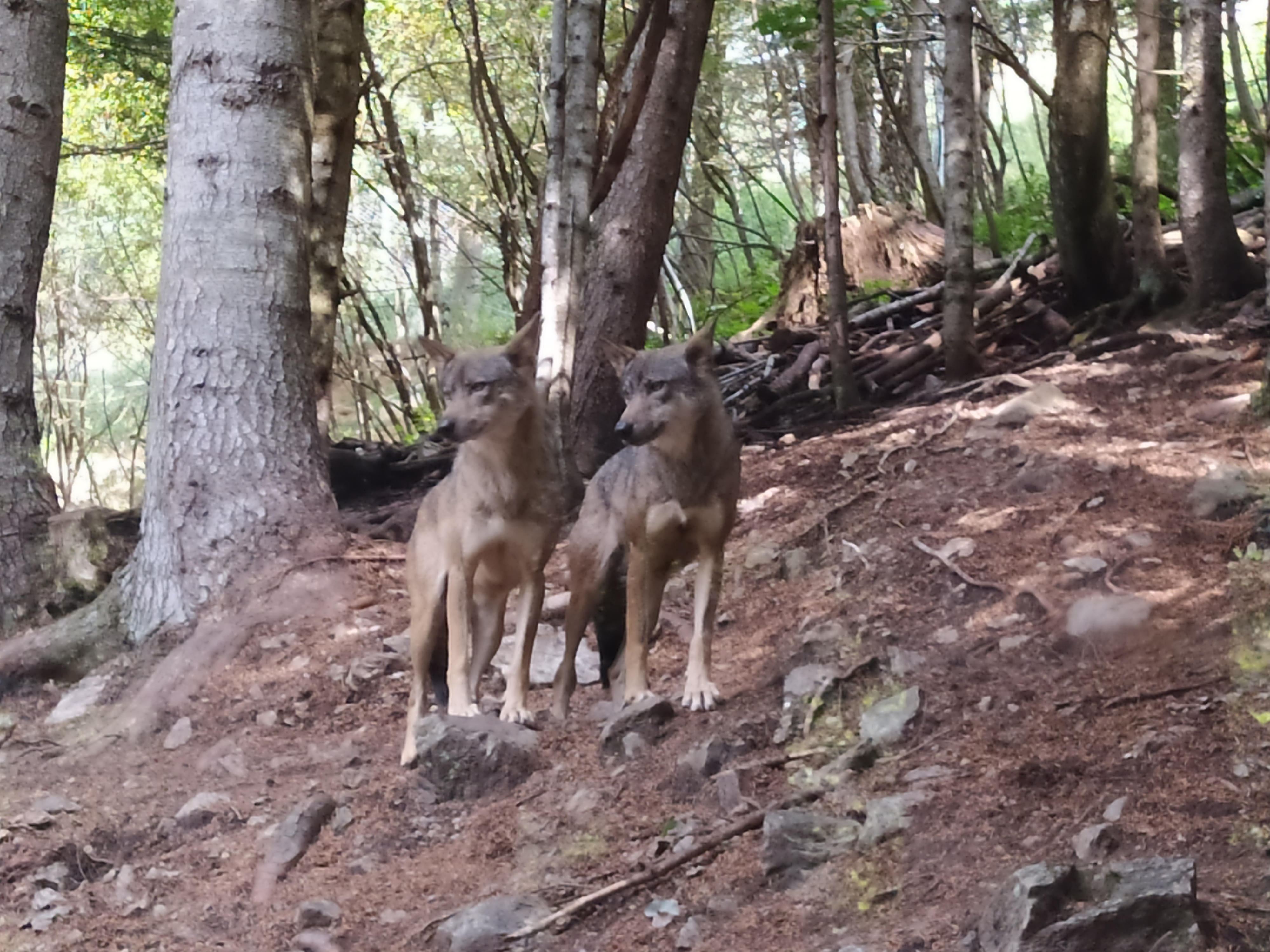 Photo n° 2 de l'avis de Anne.r fait le 11/09/2022 à 20:46