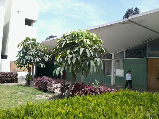 Universidad Nacional Agraria la Molina - UNALM