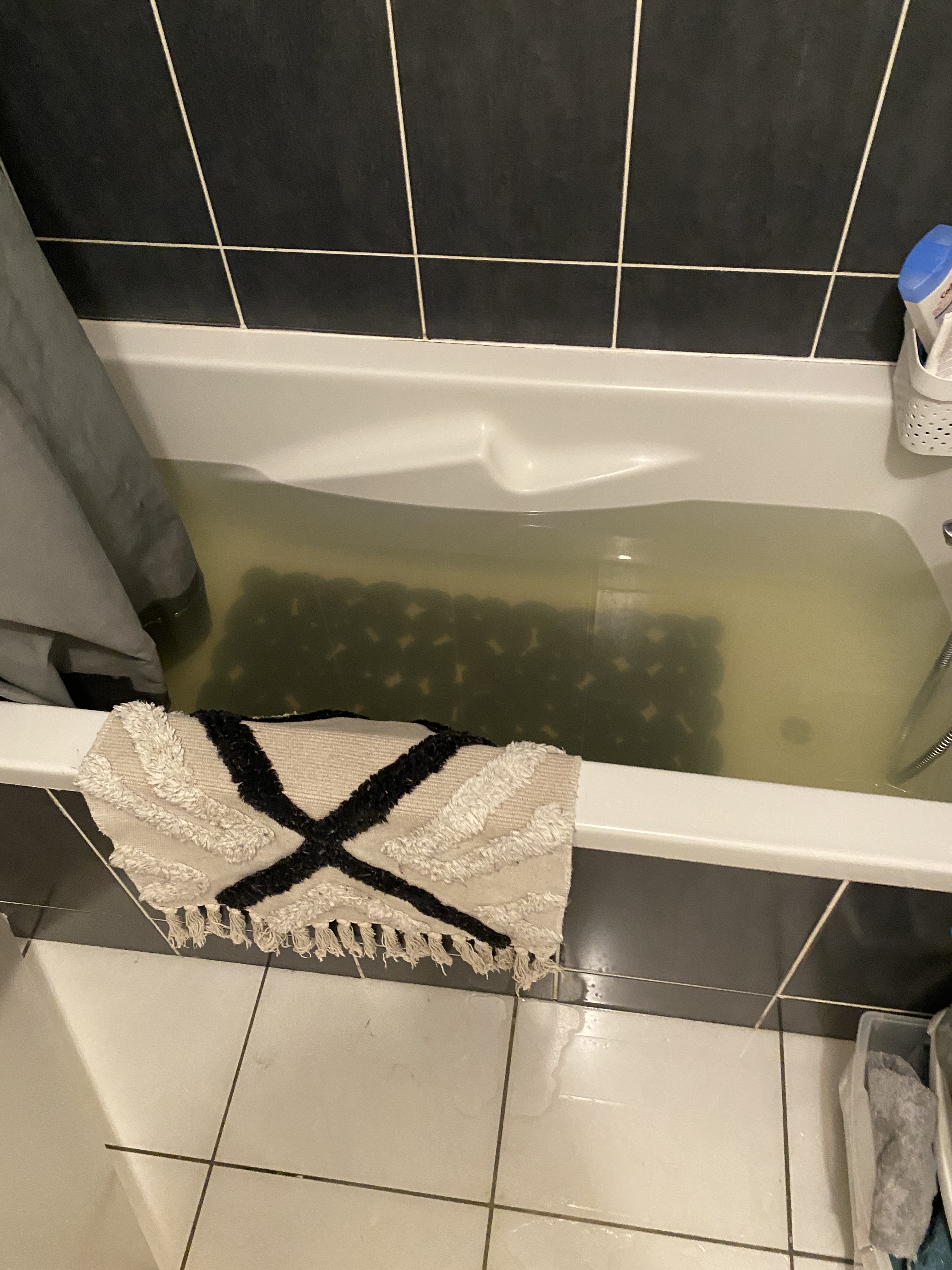 Photo n° 2 de l'avis de Prune.r fait le 20/09/2023 à 10:29