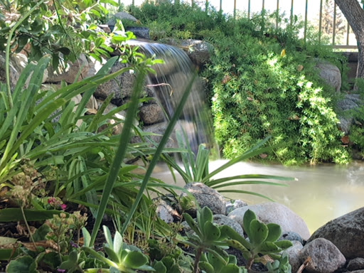 Pond contractor Glendale