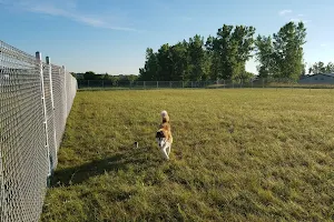 Thielman Bark Park image