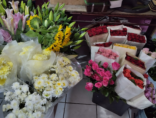 Florería Juquila – Ciudad Apodaca